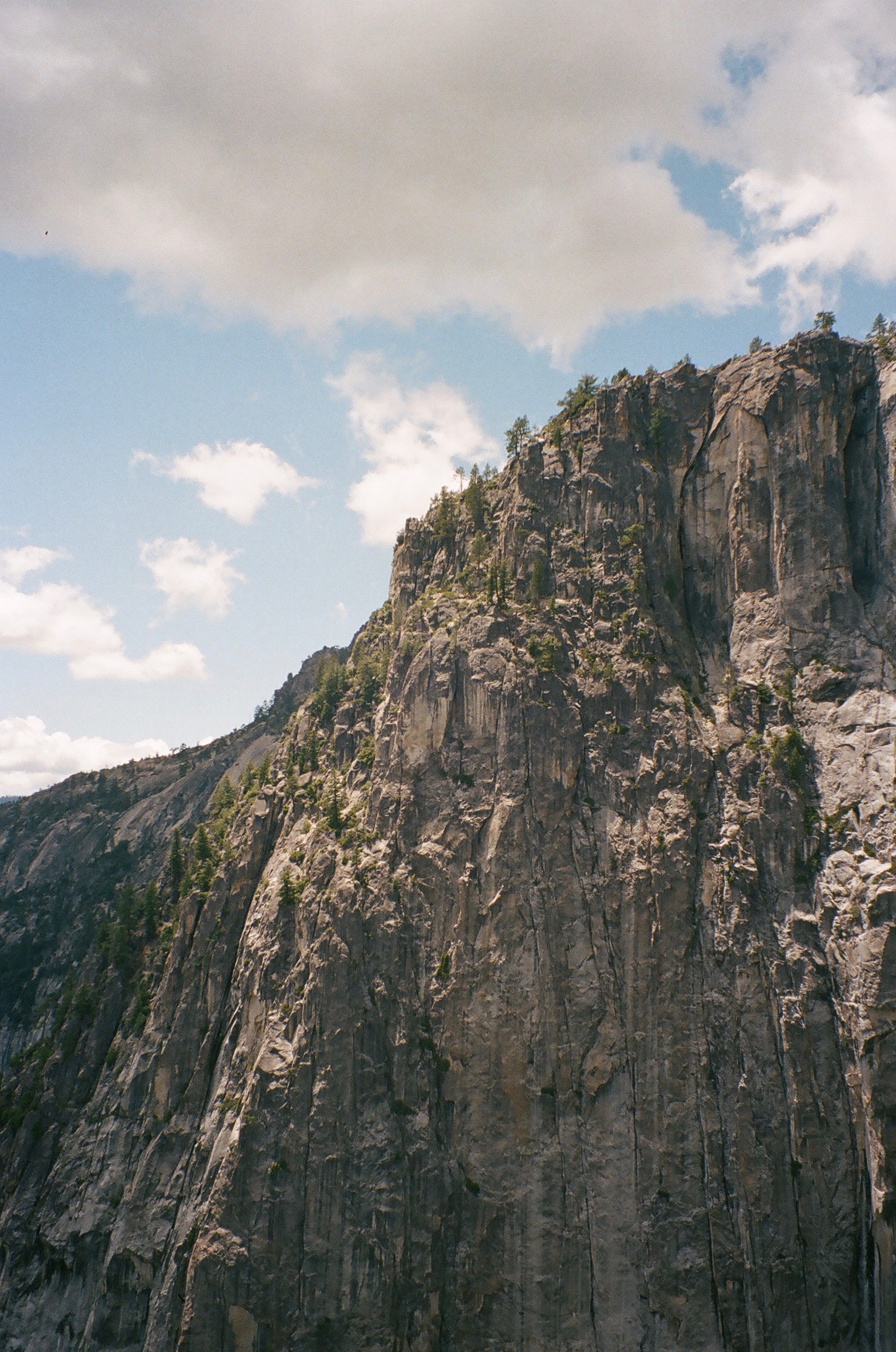 Granite wall in Yosemite National Park, California, May 2016.